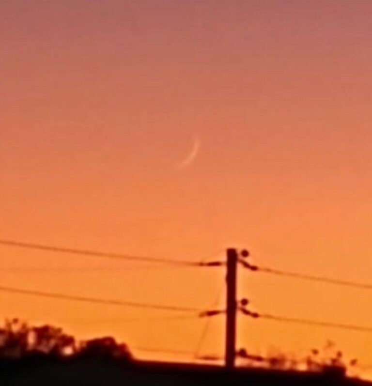 2022-2023 – 8th New Moon Sighted! Happy Month of Buwl (Produce)! (Roman ...