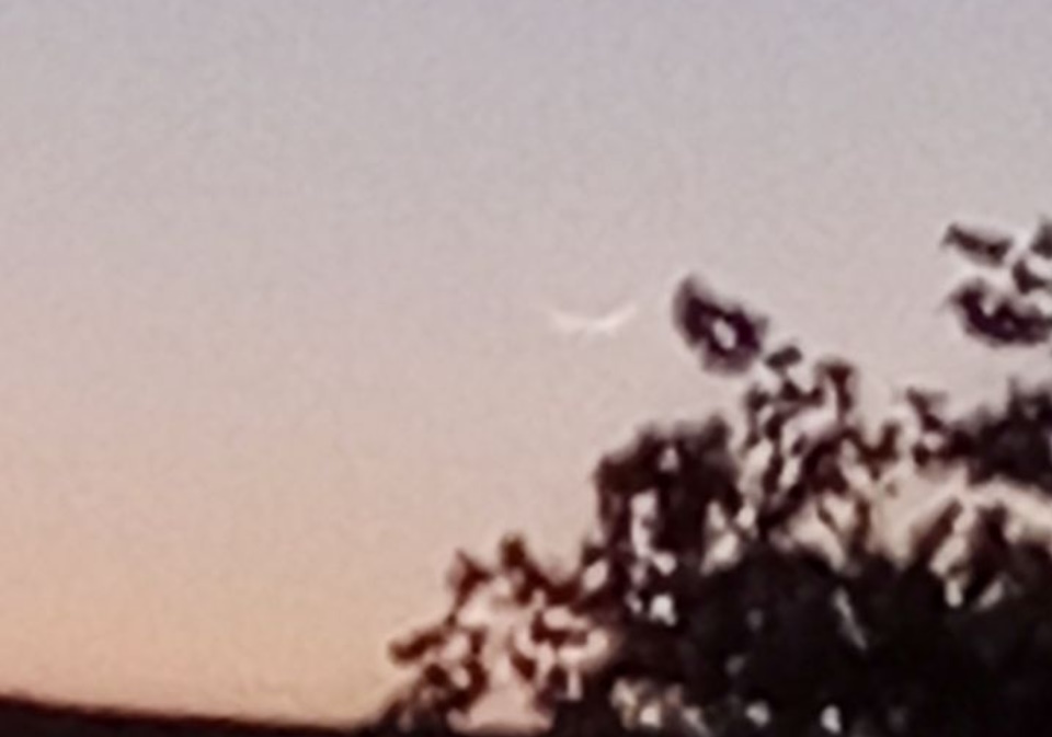 2024-2025 3rd New Moon Photo from Artesia NM