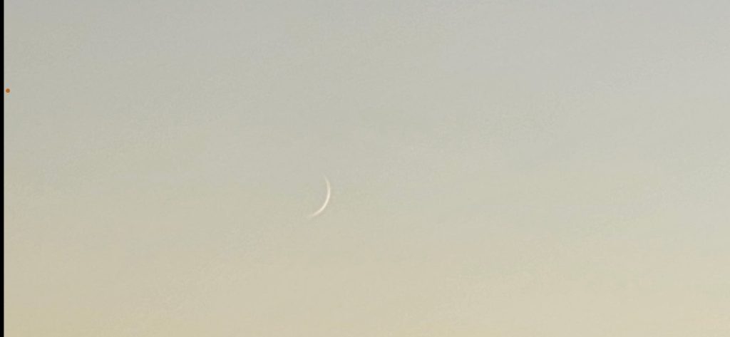 New Moon Pic